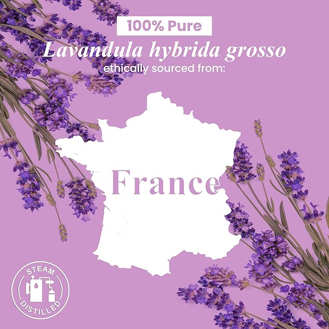 Handcraft Blends Lavender Essential Oil – Huge 4 Fl Oz – 100% Pure and Natural - Image 8
