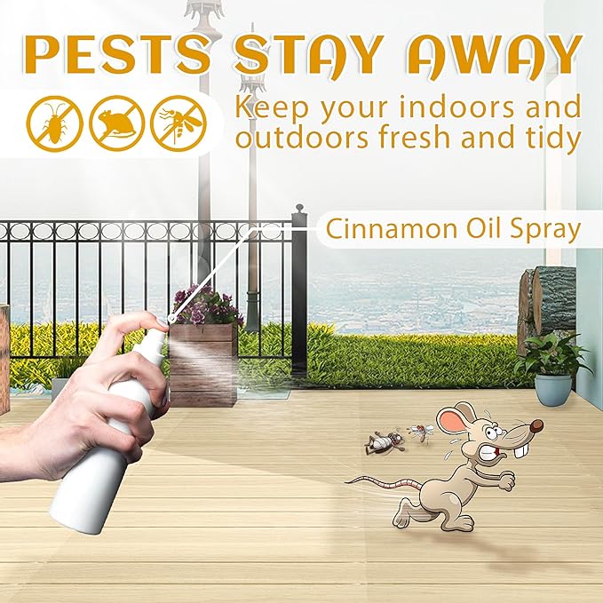 EVOKE OCCU Cinnamon Essential Oil - Image 2