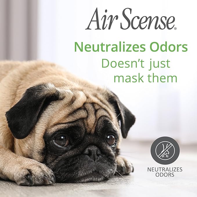 Air Scense Essential Oil Air Freshener - Image 4
