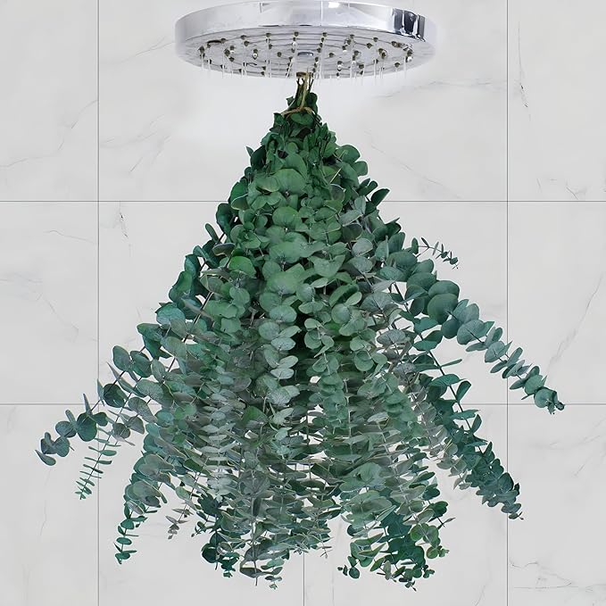 20 Pcs Dried Eucalyptus for Shower by CENELO