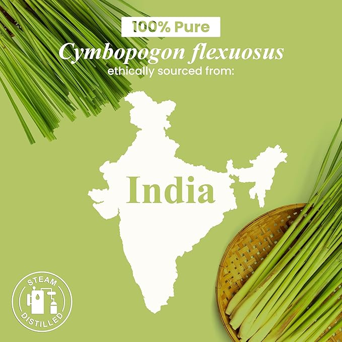 Handcraft Blends Lemongrass Essential Oil – 1 Fl Oz – 100% Pure and Natural – - Image 8