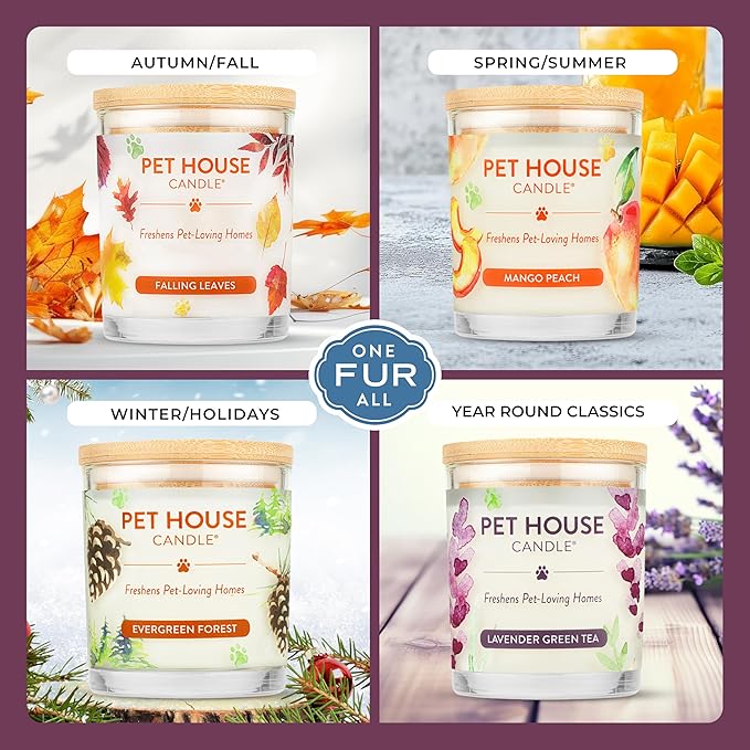 Pet House Candles, Scented Pet Friendly Candles, Clean Burning Plant-Based - Image 4