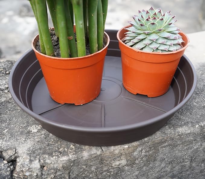 LWALRS Plant Saucer 14 Inch 2 Pack 6 8 10 12 14 16 18 20 25, Plastic Plant Trays - Image 5