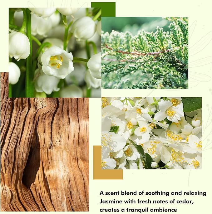 Xcleen Reed Diffuser Set- Jasmine & Lily Scented Diffuser - Image 4