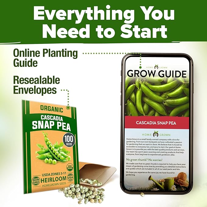 HOME GROWN Organic Cascadia Snap Pea Seeds 100+ Heirloom Non-GMO Seeds - Image 9
