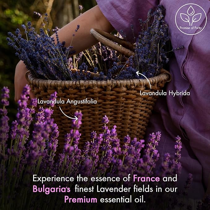 Majestic Pure Essential Oil - Image 4