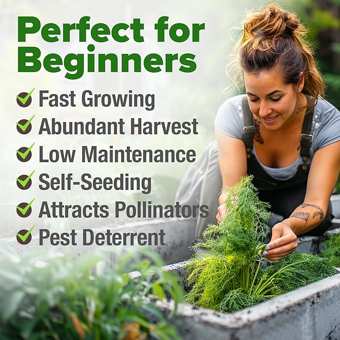 HOME GROWN Dill Seeds 2 Pack - Image 4