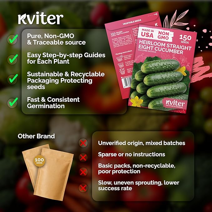 KVITER 150 Straight Eight Cucumber Seeds - Image 5
