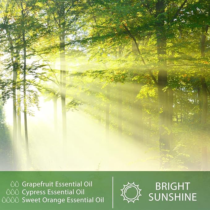 Cypress 3.38fl.oz Essential Oil, PHATOIL Aromatherapy Essential Oils - Image 4