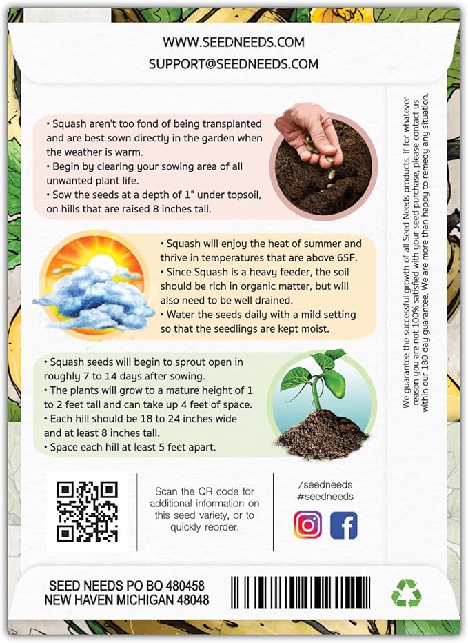 Seed Needs, Delicata Squash Seeds - Image 2