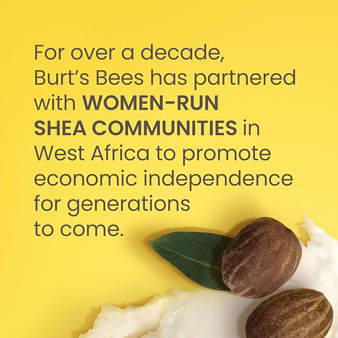 Burt's Bees Shea and Aloe Moisturizing Lip Balm, Lip Moisturizer - Image 5