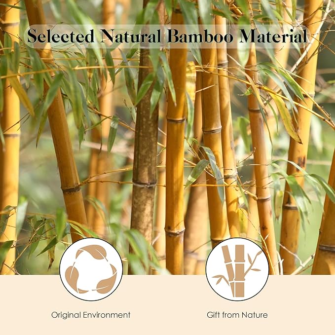 GAINWELL Bamboo Hair Brush for Hair Growth, Natural Bamboo Bristles Detangling - Image 4