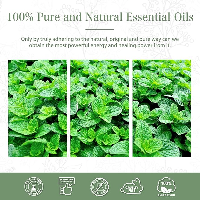 Spearmint 1.01fl.oz Essential Oil, PHATOIL Pure Aromatherapy Oils - Image 6