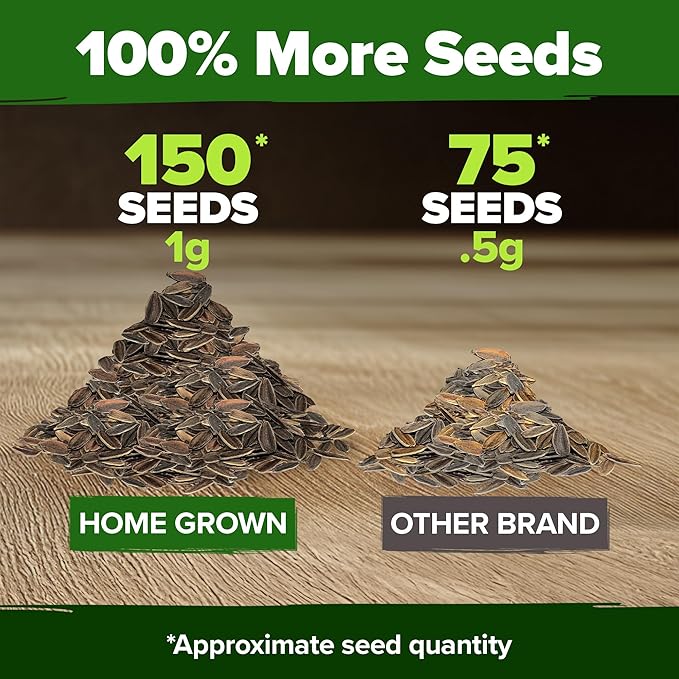 HOME GROWN Will Rogers Zinnia Seeds - Image 3