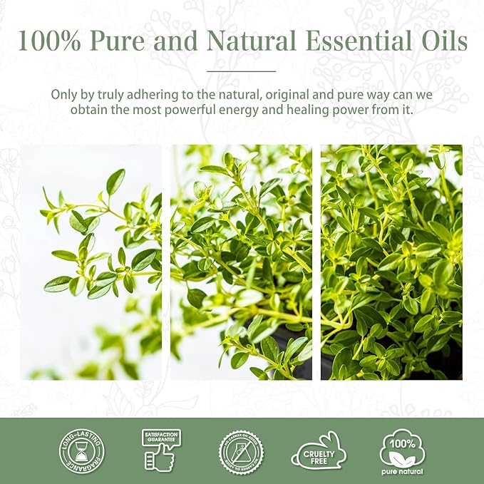 Thyme Essential Oil, 1.01Fl.Oz PHATOIL Pure Essential Oil Singles - Image 7