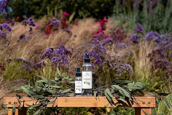 EuroSpa Aromatics Pure Eucalyptus Oil ShowerMist and Steam Room Spray, - Image 7