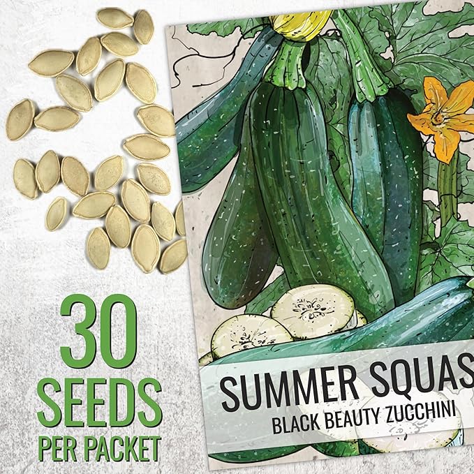 Seed Needs Black Beauty Squash Seeds - Image 3
