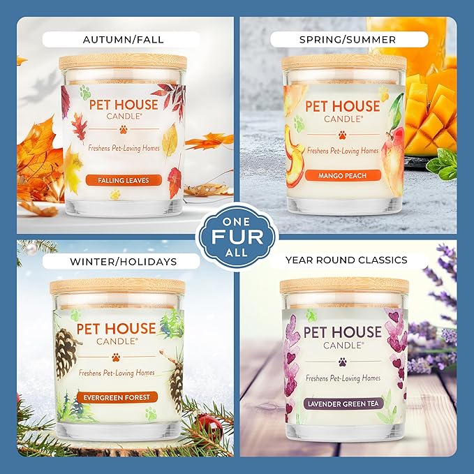 Pet House Candles, Natural Plant-Based, Long Lasting Candles - Image 3