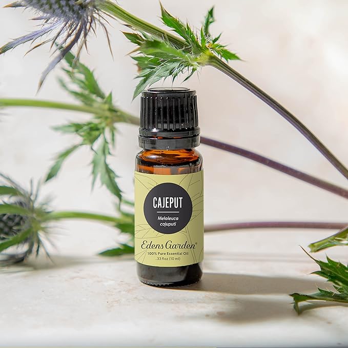 Edens Garden Cajeput Essential Oil, 100% Pure Therapeutic Grade 10 ml - Image 2