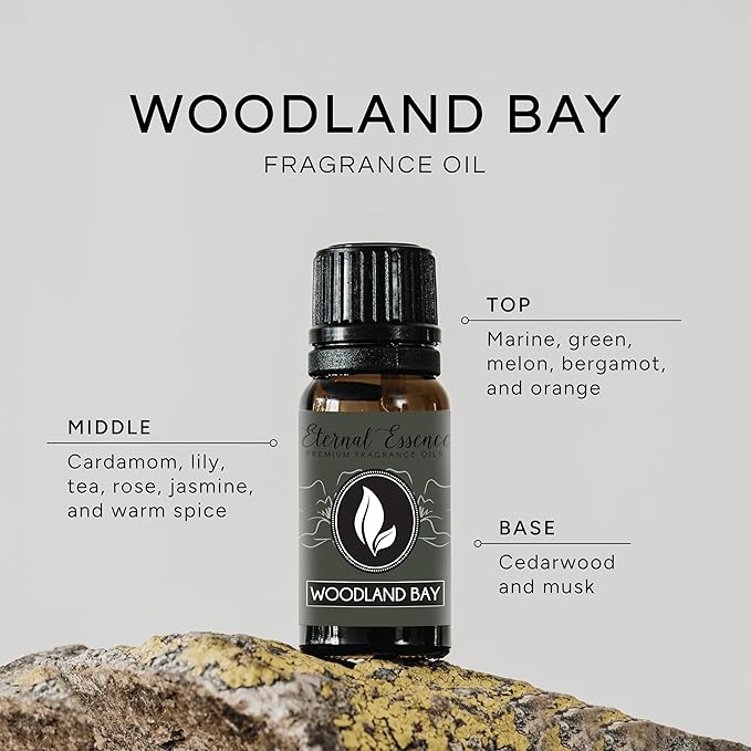 Woodland Bay Premium Grade Fragrance Oil - 10ml - Scented Oil - Image 2