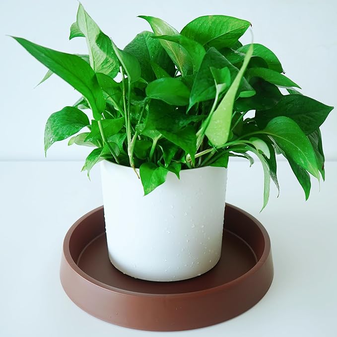 Plant Saucer Tray for Ceramic Plastic Pots, 20 inch Plant Saucers for Indoors - Image 4