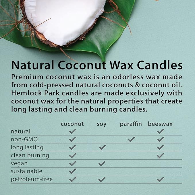 Hemlock Park Mulled Cider Apothecary Hand-Poured Scented Candle | Crackling - Image 3