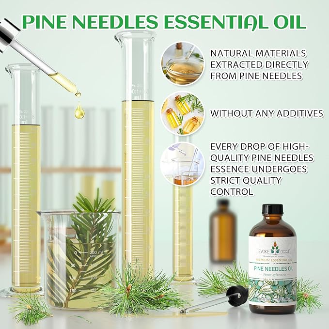 EVOKE OCCU Pine Essential Oil for Diffuser, Fresh Pine Scent for Aromatherapy - Image 9