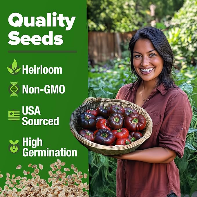 HOME GROWN Cherokee Purple Tomato Seeds 212+ Heirloom Non-GMO Seeds - Image 2