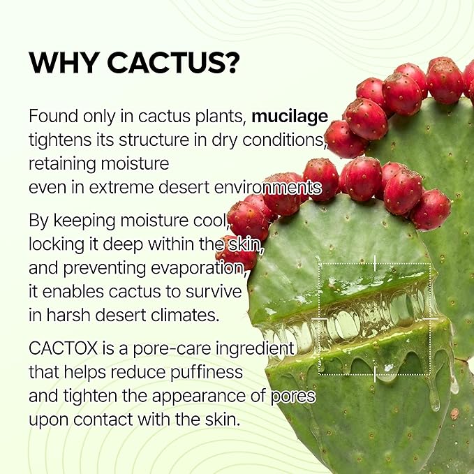 Dr.Melaxin Cactox Pore Relief Jelly Serum Mist, Instant Cooling Face Mist - Image 4