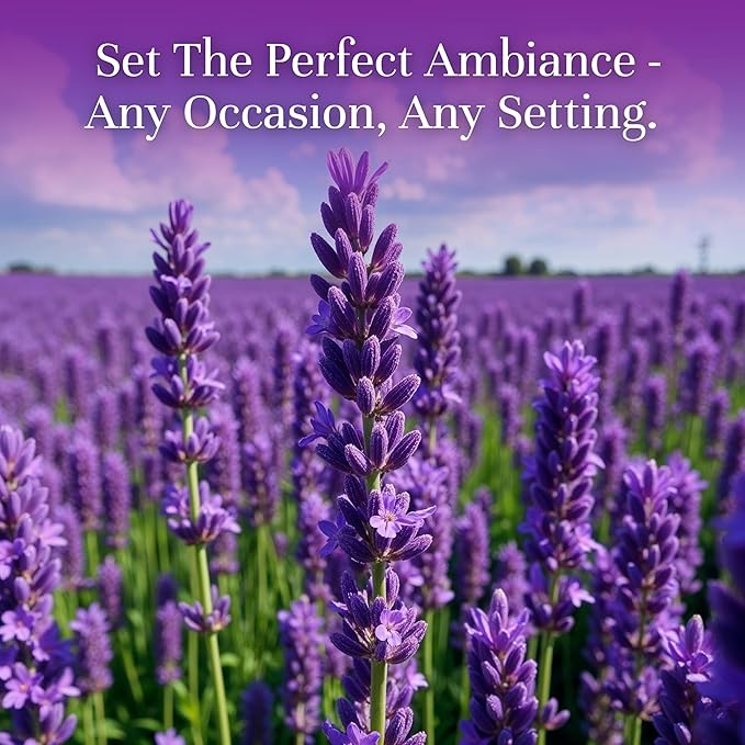 P&J Trading Fragrance Oil | Lavender Oil 100ml - Image 2
