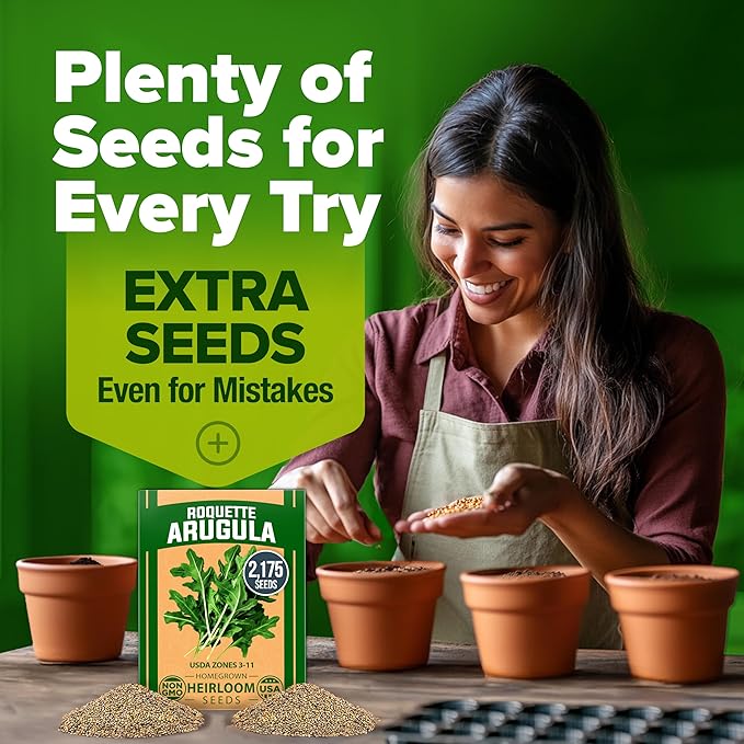 HOME GROWN Arugula Roquette Seeds 4350+ Bulk Pack Heirloom Non-GMO, High - Image 8