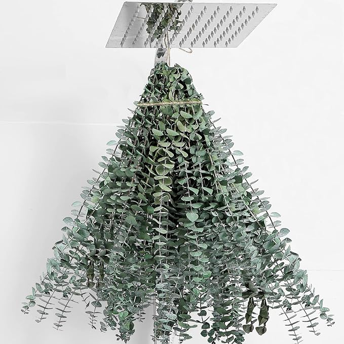 30 Pcs Dried Eucalyptus Stems 17" Real Eucalyptus by FAVOWREATH