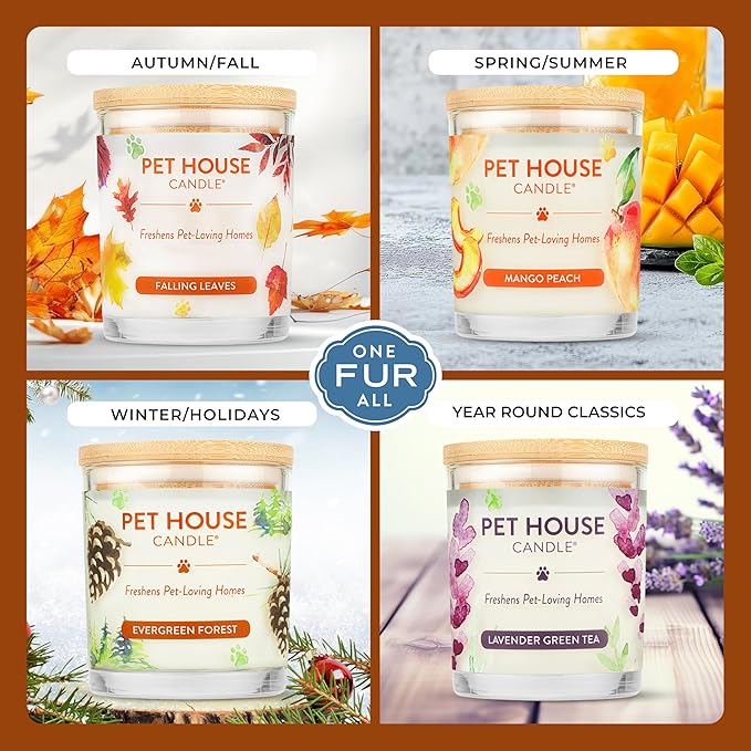 One Fur All Pet House Fall Candles, Long Lasting, Clean Burning, Soy Wax - Image 4