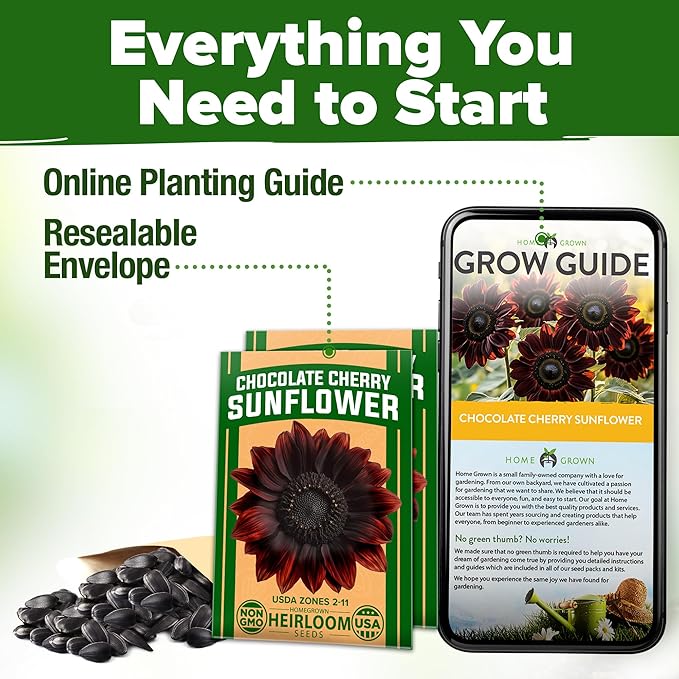 HOME GROWN Chocolate Cherry Sunflower Seeds – 150 Heirloom Non-GMO Seeds – - Image 8