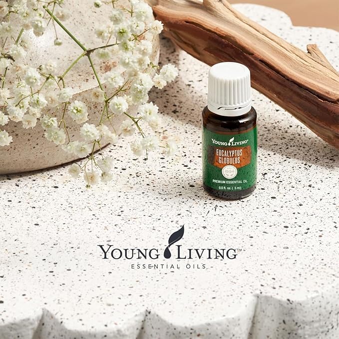 Young Living Eucalyptus Globulus Essential Oil | Cooling, Refreshing Aroma - Image 6