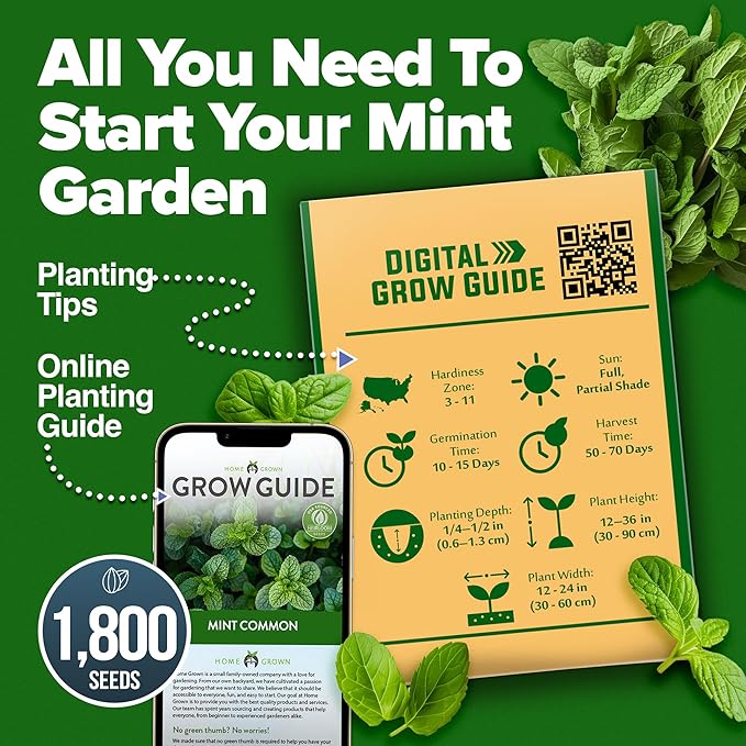 HOME GROWN Non GMO Common Mint Seeds 1, 800 Heirloom Herb Seeds, USA Sourced | - Image 7