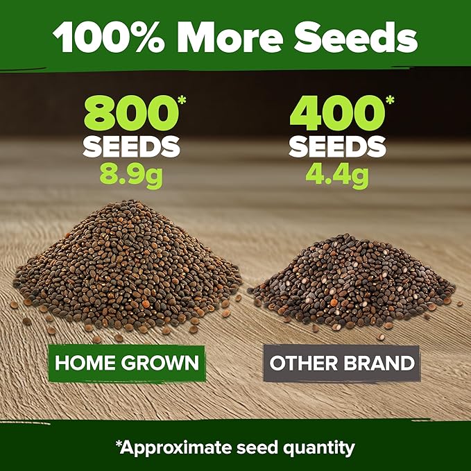 HOME GROWN Cherry Belle Radish Seeds 800+ Heirloom Non-GMO Seeds - Image 3