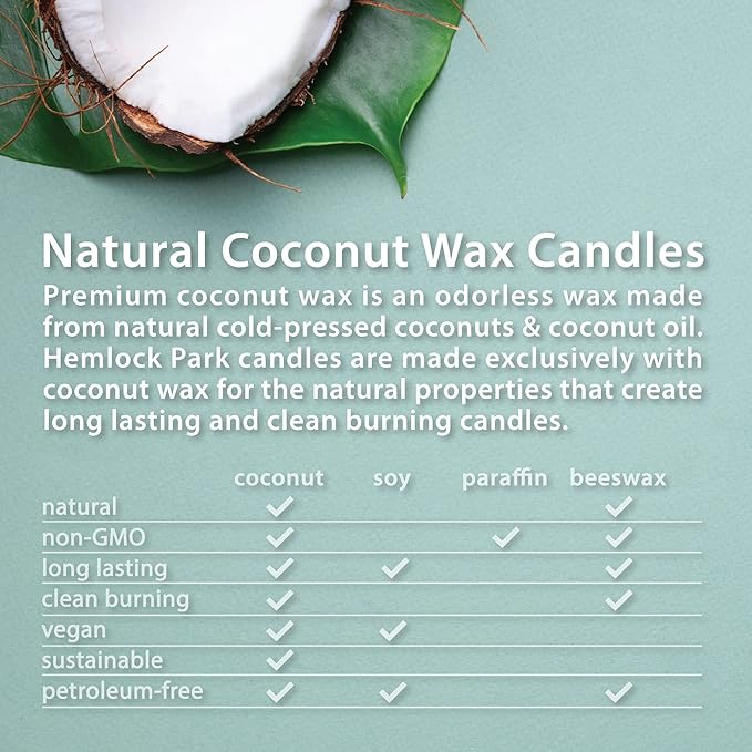 Hemlock Park Crackling Wood Wick Candle Handcrafted - Image 5