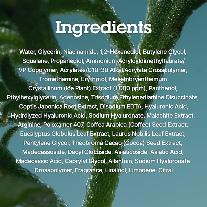BLITHE Pressed Serum Crystal Iceplant Face Moisturizing Gel - Image 8