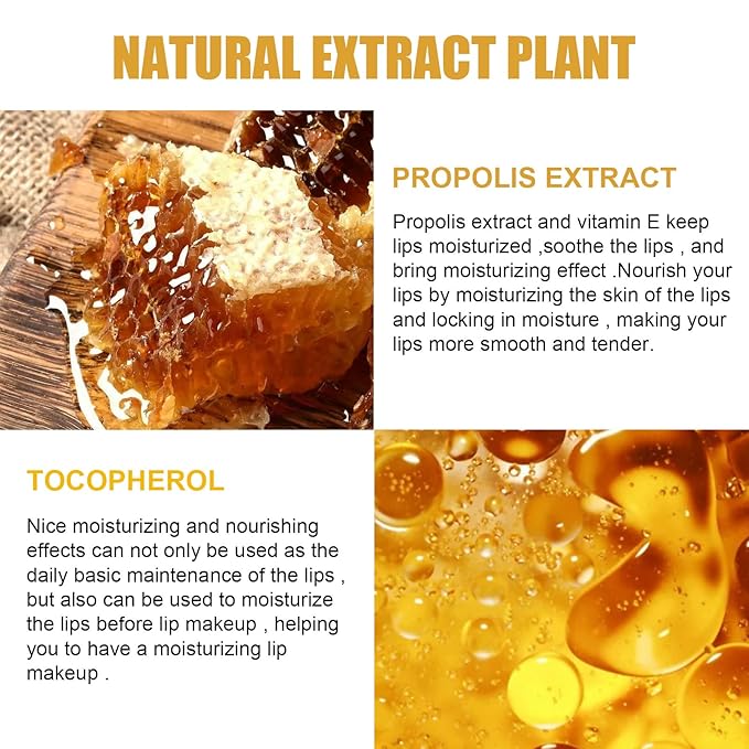 4Pcs Lip Balm Honey Pot, Propolis Moisturizing Honey Lip Mask Lip Balm - Image 3