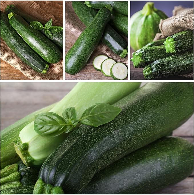 Seed Needs Black Beauty Squash Seeds - Image 5