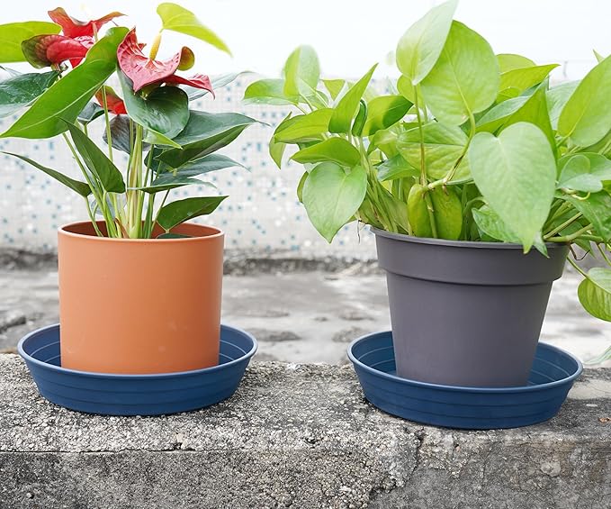 Plant Saucer 8 Inch 4 Pack 6 8 10 12 14 16 18 20 25, Plastic Plant Trays - Image 5