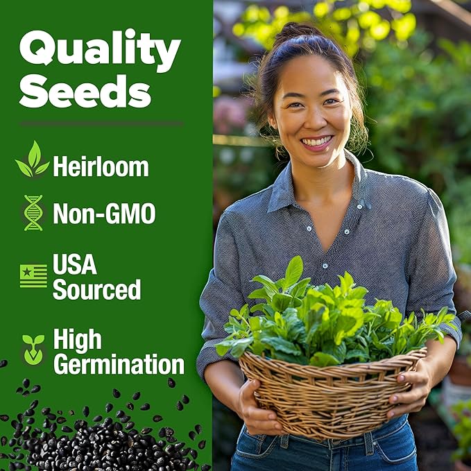 HOME GROWN Non GMO Common Mint Seeds 1, 800 Heirloom Herb Seeds, USA Sourced | - Image 3