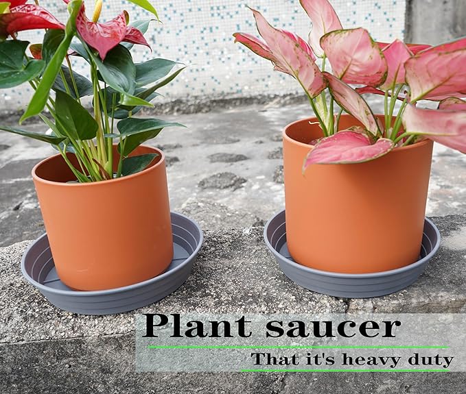 Plant Saucer 6 Inch 4 Pack 6 8 10 12 14 16 18 20 25, Plastic Plant Trays - Image 3