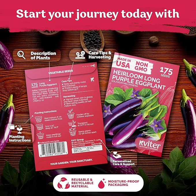 KVITER 175 Long Purple Eggplant Seeds – Asian Eggplant, Dark Purple Italian Egg - Image 2