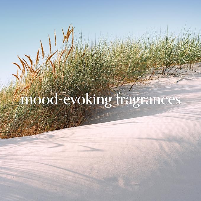 Chesapeake Bay, 11oz Serene Waters Scented Candle, Mood Evoking Fragrance - Image 4