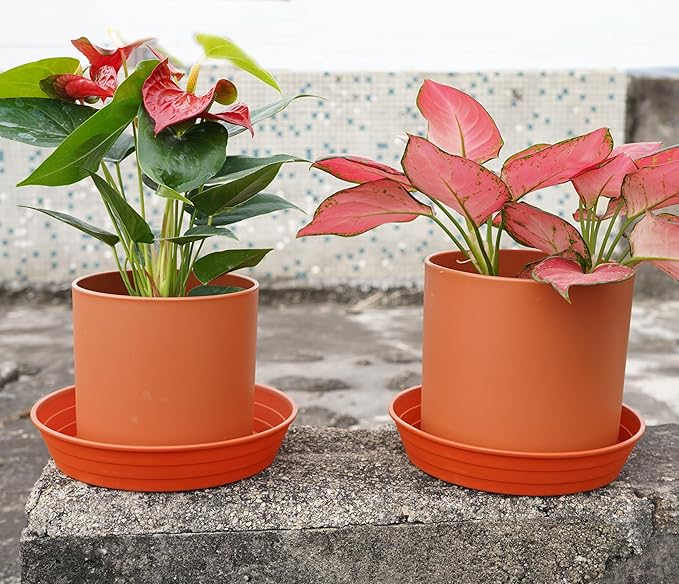 LWALRS Plant Saucer 14 Inch 4 Pack 6 8 10 12 14 16 18 20 25, Plastic Plant Trays - Image 3