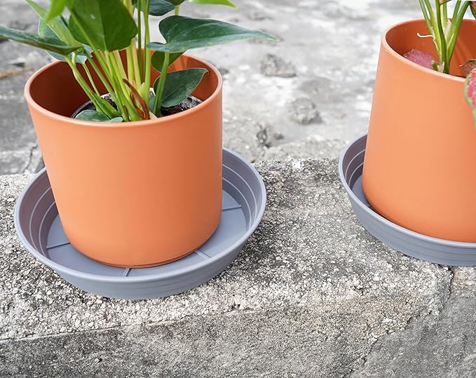 Plant Saucer 6 Inch 4 Pack 6 8 10 12 14 16 18 20 25, Plastic Plant Trays - Image 6