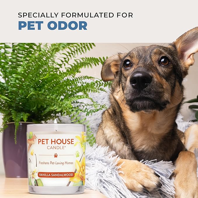 Pet House Candles, Natural Plant-Based, Long Lasting Candles - Image 4