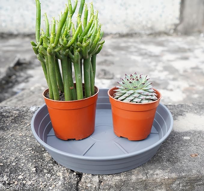 Plant Saucer 8 Inch 4 Pack 6 8 10 12 14 16 18 20 25, Plastic Plant Trays - Image 4